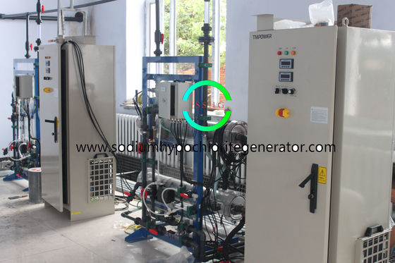 NaCIO Sodium Hypochlorite Disinfection Drinking Water 30kg/H of 8000ppm